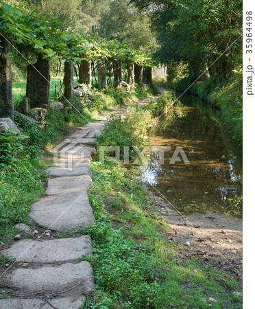 Pilgrim trail, Camino de Santiago, Spain 35964498