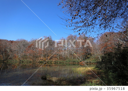 刈込池 トレッキング7(福井県 大野市 ハイキング) 刈込池 トレッキング7(福井県 大野市 ハイキング) 35967518