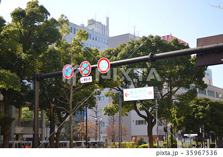 横浜市庁舎前 横浜市庁舎前 35967536