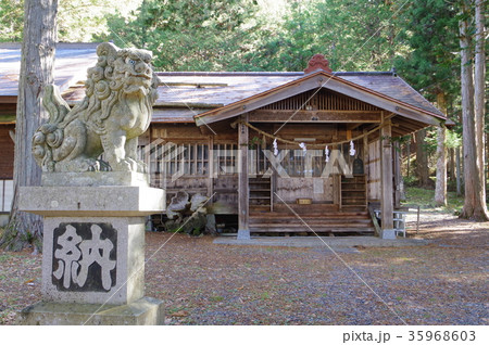 信州 木曽の神社 熊野神社 拝殿と狛犬 江戸末期建立の本殿は立川流の建築 町文化財指定 信州 木曽の神社 熊野神社 拝殿と狛犬 江戸末期建立の本殿は立川流の建築 町文化財指定 35968603