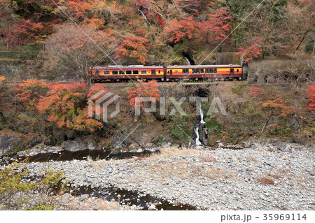 錦秋の渓谷を行くわたらせ渓谷鉄道 錦秋の渓谷を行くわたらせ渓谷鉄道 35969114