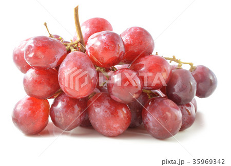 Red grape with water drops on white backgroun Red grape with water drops on white backgroun 35969342