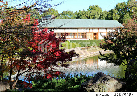 こしがや能楽堂、花田苑の紅葉（11月）埼玉県越谷市 35970497