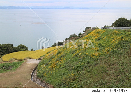 秋の豊島から見える瀬戸内海 秋の豊島から見える瀬戸内海 35971953
