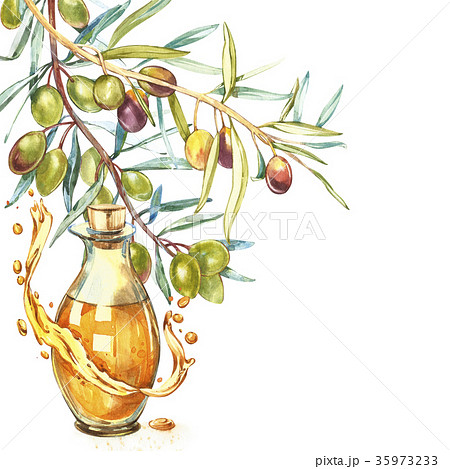 A branch of ripe green olives is juicy poured with 35973233