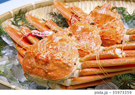 ズワイガニ 食材 ズワイガニ 食材 35973359