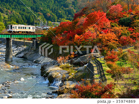 名松線の紅葉 名松線の紅葉 35974869