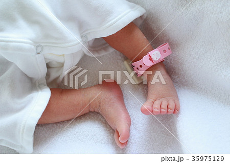 新生児の足 生後3日目の写真素材