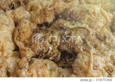 omelet Pork Chop Recipe closeup 35975360