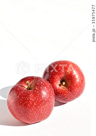 リンゴ（千雪） 35975477