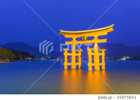 Miyajima Floating Gate 35975651