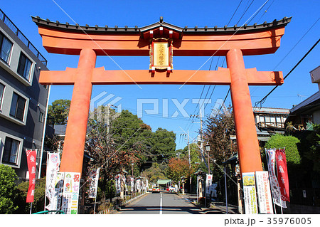 大宮八幡宮の鳥居 35976005