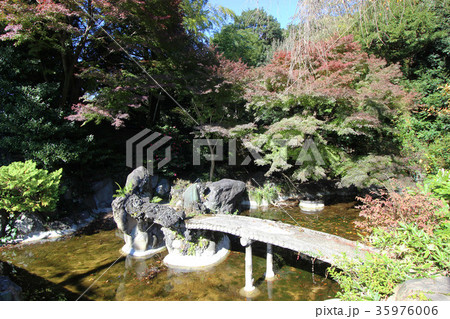 大宮の杜緑地 35976006