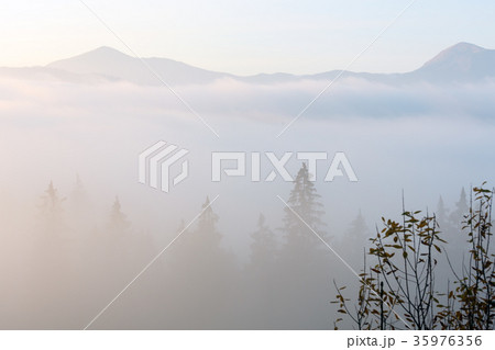 Autumn Carpathians, Ukraine. 35976356