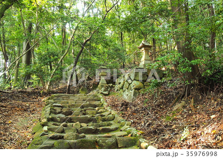 尾張戸神社の参道（愛知県） 35976998