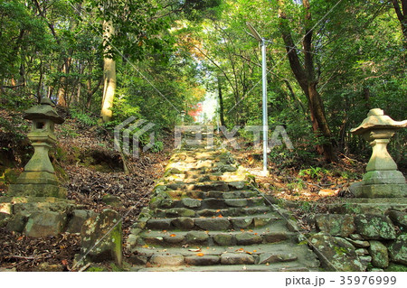 尾張戸神社の参道（愛知県） 35976999
