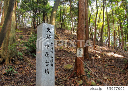 志段味古墳群：中社古墳（愛知県） 35977002