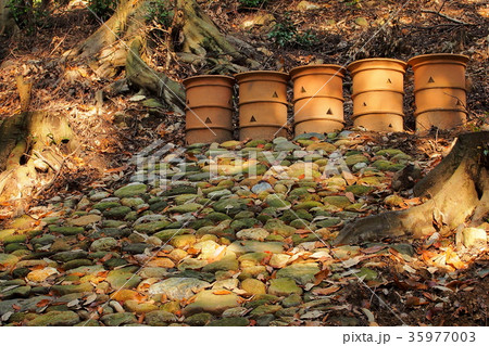 志段味古墳群：中社古墳の円筒埴輪（愛知県） 35977003