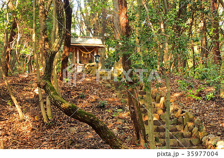 尾張戸神社の中社（愛知県） 35977004