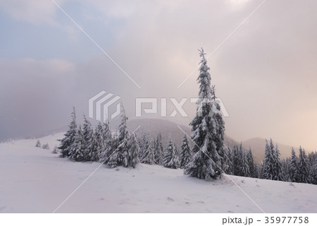 Fantastic winter landscape 35977758