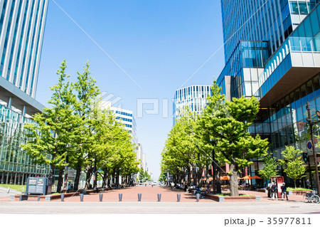 札幌都市風景　赤レンガ庁舎前広場 35977811