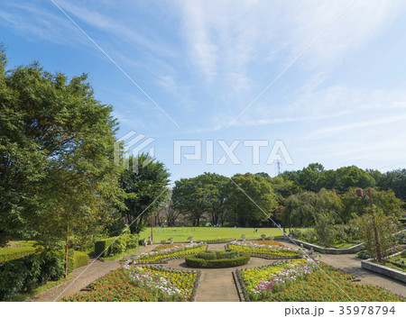 智光山公園にある狭山市都市緑化植物園 埼玉県狭山市 の写真素材