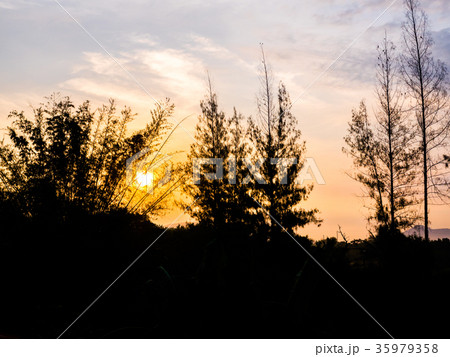 sky in morning with silhouette tree foreground 35979358