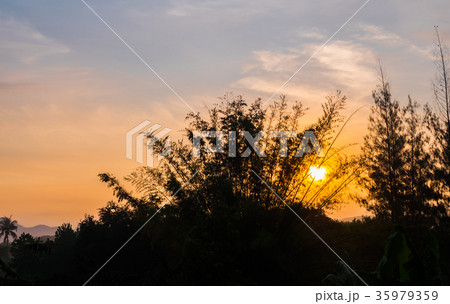 sky in morning with silhouette tree foreground sky in morning with silhouette tree foreground 35979359