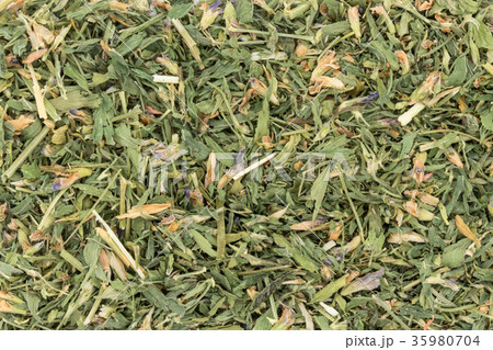 お茶用アルファルファ: Alfalfa leaves お茶用アルファルファ: Alfalfa leaves 35980704