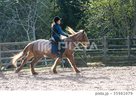 白と茶色柄の馬に乗って乗馬のレッスンをする少女 35981079
