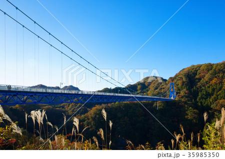 竜神峡　竜神大吊橋　紅葉 35985350