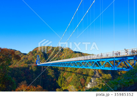 竜神峡　竜神大吊橋　紅葉 35985352