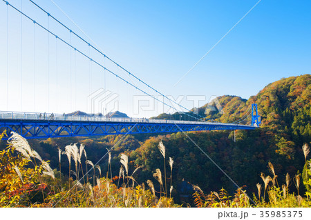 竜神峡 竜神大吊橋 紅葉 すすきの写真素材