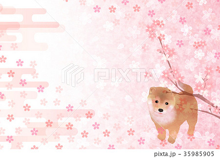 戌 年賀状 桜 背景 戌 年賀状 桜 背景 35985905