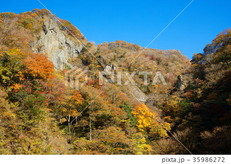 袋田の滝周辺の紅葉 袋田の滝周辺の紅葉 35986272