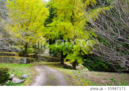 秋の風景 35987171