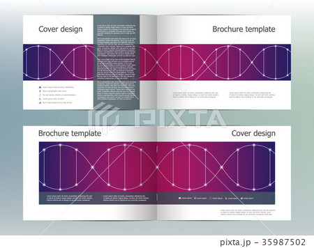 Rectangle brochure template layout, cover, annual Rectangle brochure template layout, cover, annual 35987502