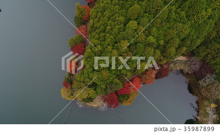 西予市関地池の紅葉空撮、水辺を秋色に染めて 35987899