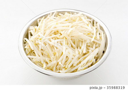 もやし もやし 35988319