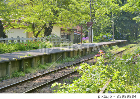 芦野公園駅　津軽鉄道 35989884