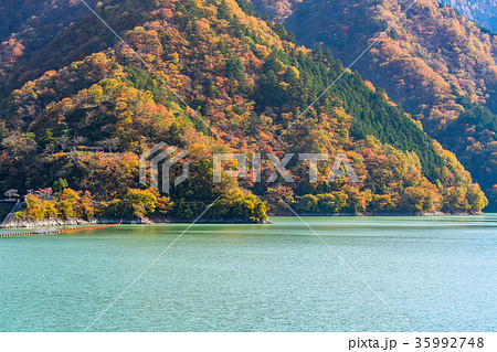 《東京都》奥多摩湖・自然風景 35992748