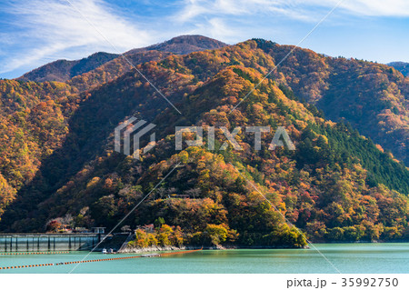 《東京都》奥多摩湖・自然風景 《東京都》奥多摩湖・自然風景 35992750