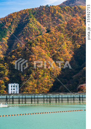 《東京都》奥多摩湖・自然風景 35992755