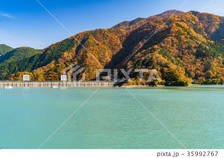 《東京都》奥多摩湖・自然風景 35992767