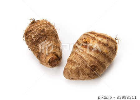 里芋 里芋 35993511