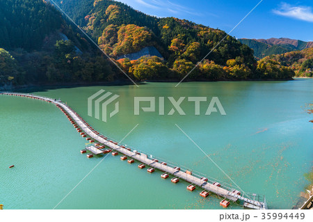 《東京都》紅葉の奥多摩湖・ドラム缶橋 35994449