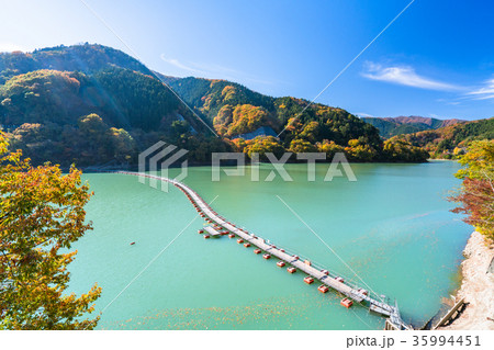 《東京都》紅葉の奥多摩湖・ドラム缶橋 35994451