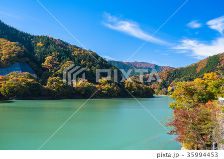 《東京都》紅葉の奥多摩湖・ドラム缶橋 《東京都》紅葉の奥多摩湖・ドラム缶橋 35994453