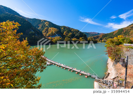 《東京都》紅葉の奥多摩湖・ドラム缶橋 《東京都》紅葉の奥多摩湖・ドラム缶橋 35994454