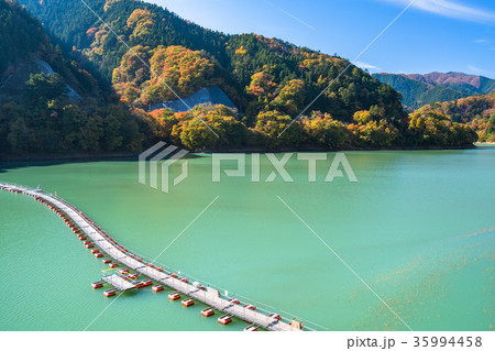 《東京都》紅葉の奥多摩湖・ドラム缶橋 《東京都》紅葉の奥多摩湖・ドラム缶橋 35994458